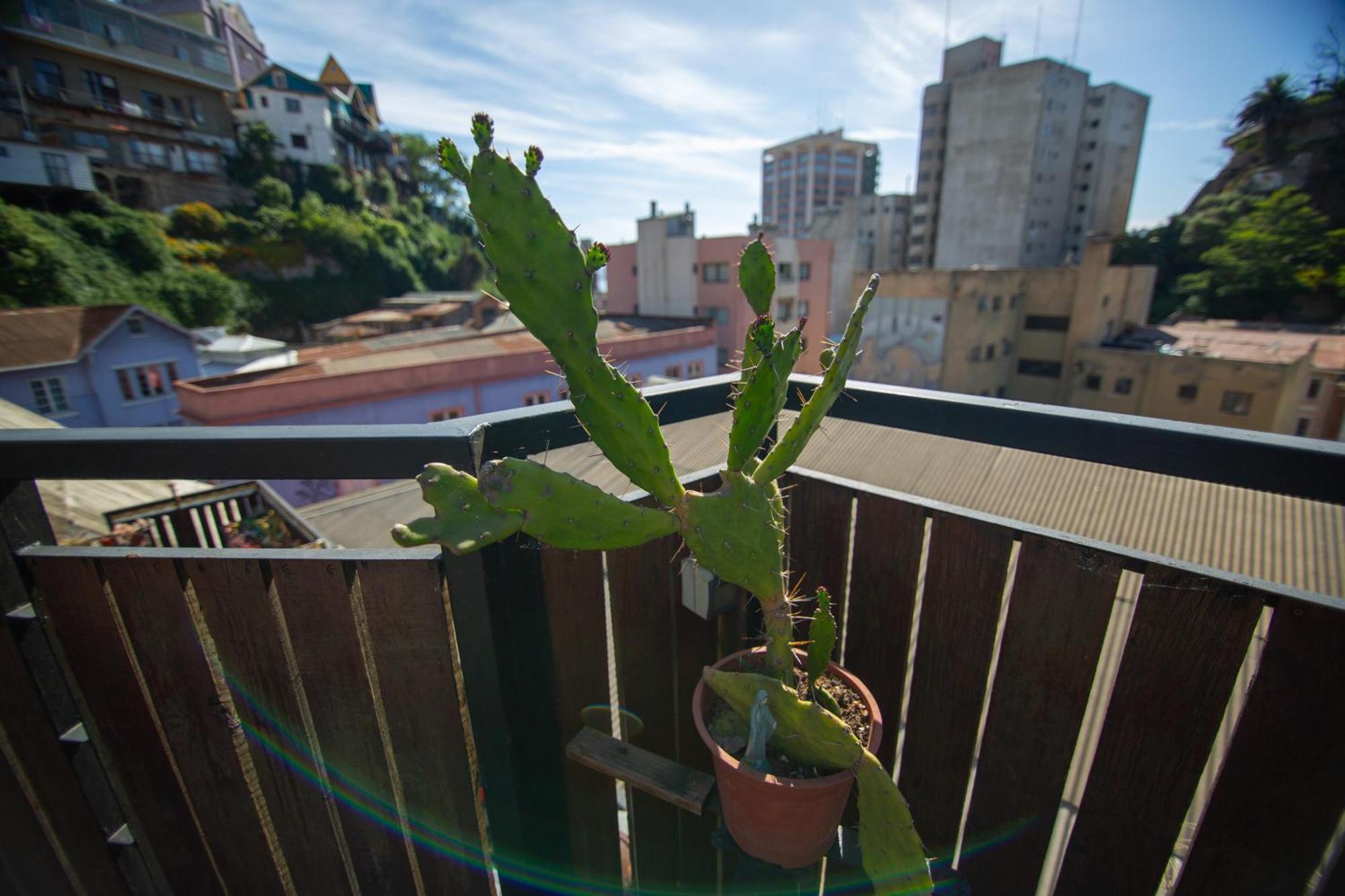 La Casa Del Puerto, Hostal Cultural, Cerro Alegre Valparaíso Exteriör bild